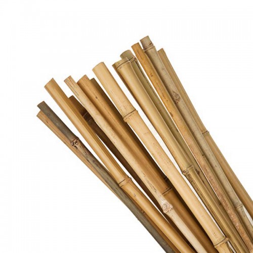 Bamboo Canes 25pk